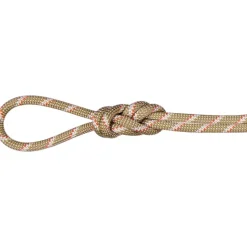 8.0 Alpine Classic Kletterseil