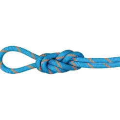 8.7 Alpine Sender Dry Kletterseil