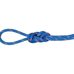 7.5 Alpine Sender Dry Kletterseil