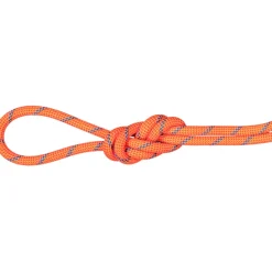 7.5 Alpine Sender Dry Kletterseil