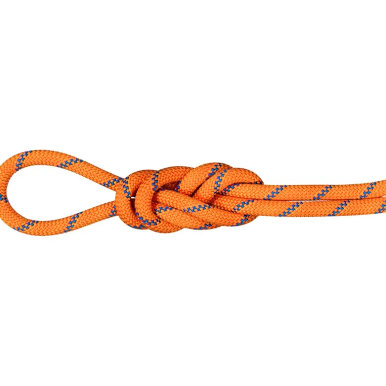 9.0 Alpine Sender Dry Kletterseil