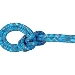 9.8 Crag Classic Kletterseil