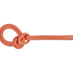 8.7 Crag Sender Dry Kletterseil