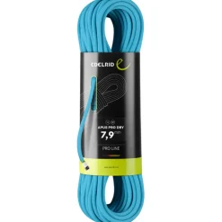 Apus Pro Dry 7,9 mm Halbseil