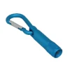 Carabiner with LED