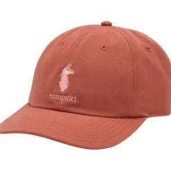 Dad Cap