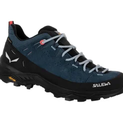 Damen Alp Trainer 2 GTX Schuhe