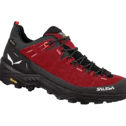Damen Alp Trainer 2 GTX Schuhe