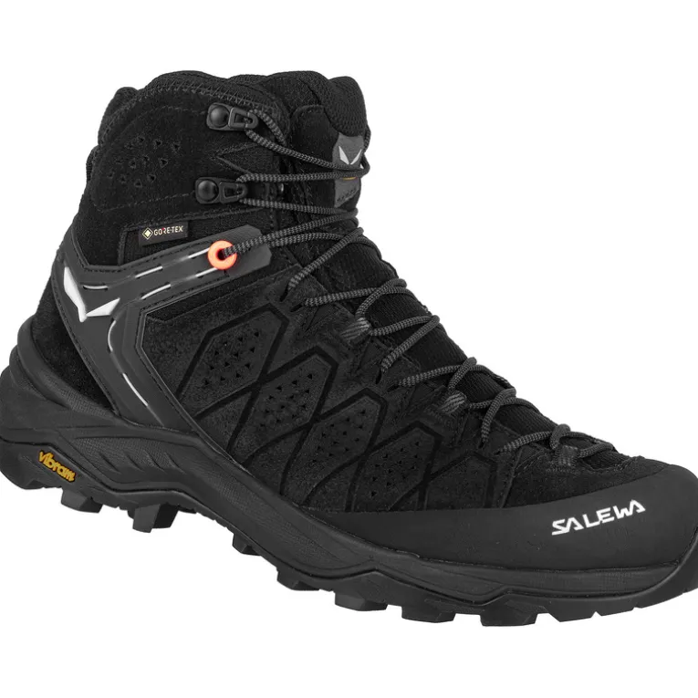 Damen Alp Trainer 2 Mid GTX Schuhe