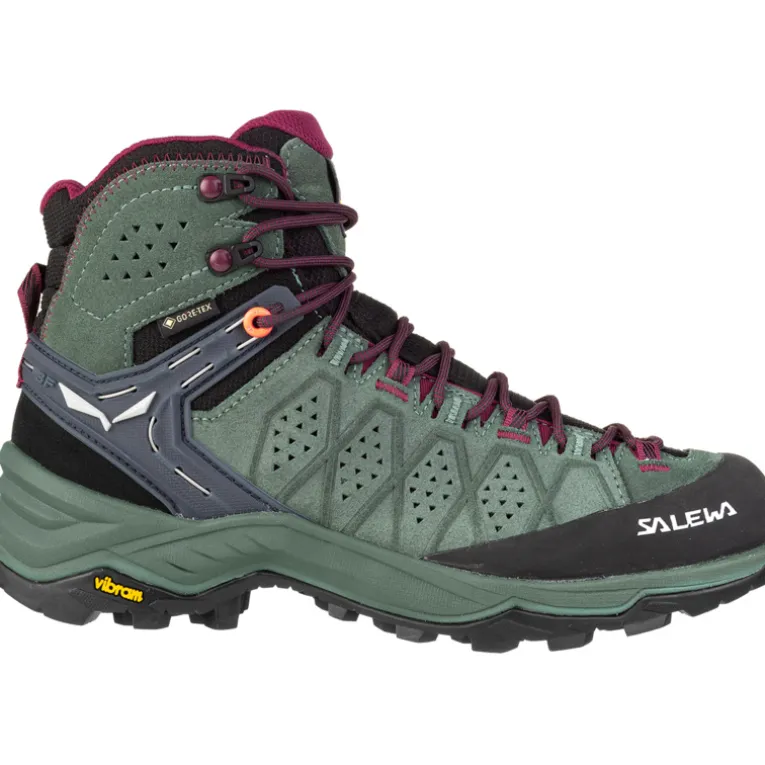 Damen Alp Trainer 2 Mid GTX Schuhe