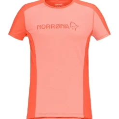 Damen Falketind Equaliser Merino T-Shirt