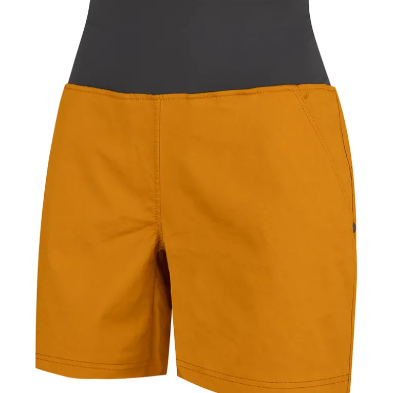 Damen Session 2 Shorts