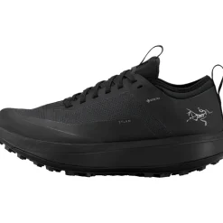 Damen Sylan GTX Schuhe