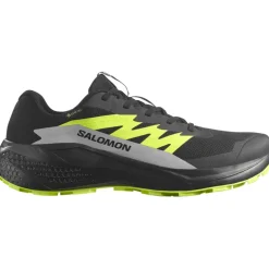 Herren Alphaglide GTX Schuhe