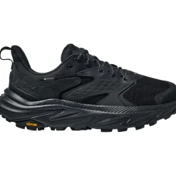 Herren Anacapa 2 Low GTX Schuhe