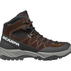 Herren Boreas GTX Schuhe