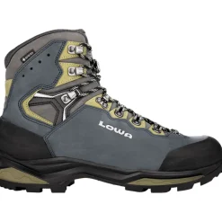 Herren Camino Evo GTX Schuhe