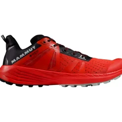 Herren Saentis TR Low GTX Schuhe