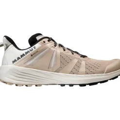 Herren Saentis TR Low GTX Schuhe