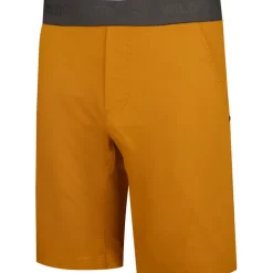 Herren Session 2 Shorts