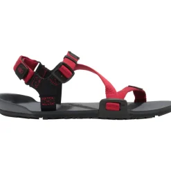 Kinder Z-Trail Schuhe