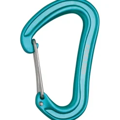 Nineteen G Karabiner