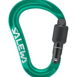 Ortles HMS S Karabiner