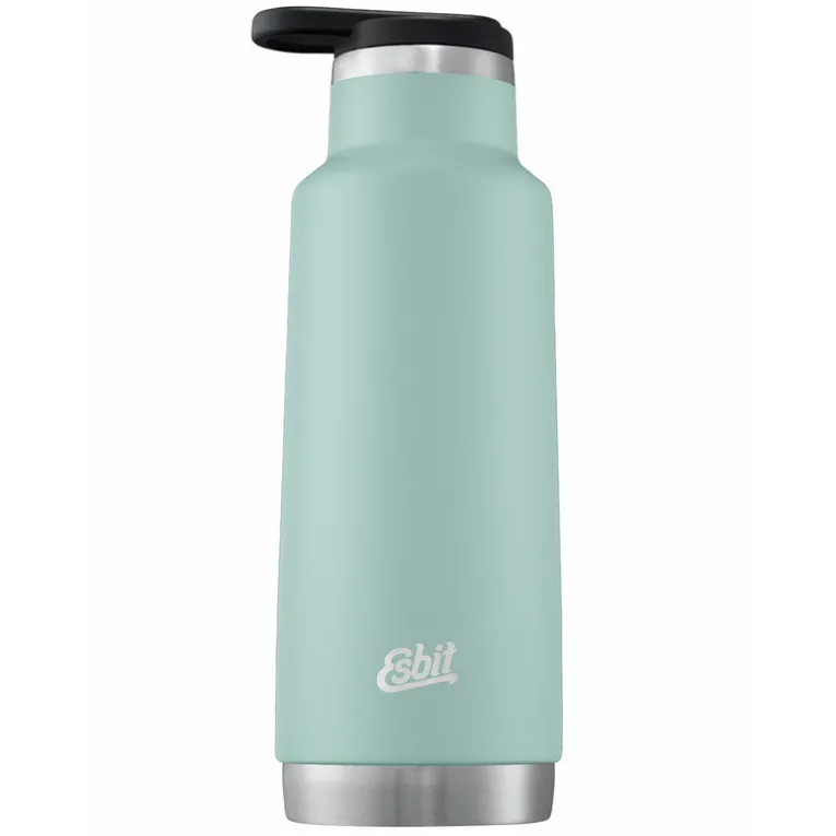 Pictor Edelstahl Standard Mouth Isolierflasche