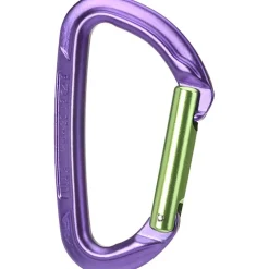 Session Straight Karabiner