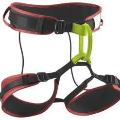 Zack Gym Klettergurt